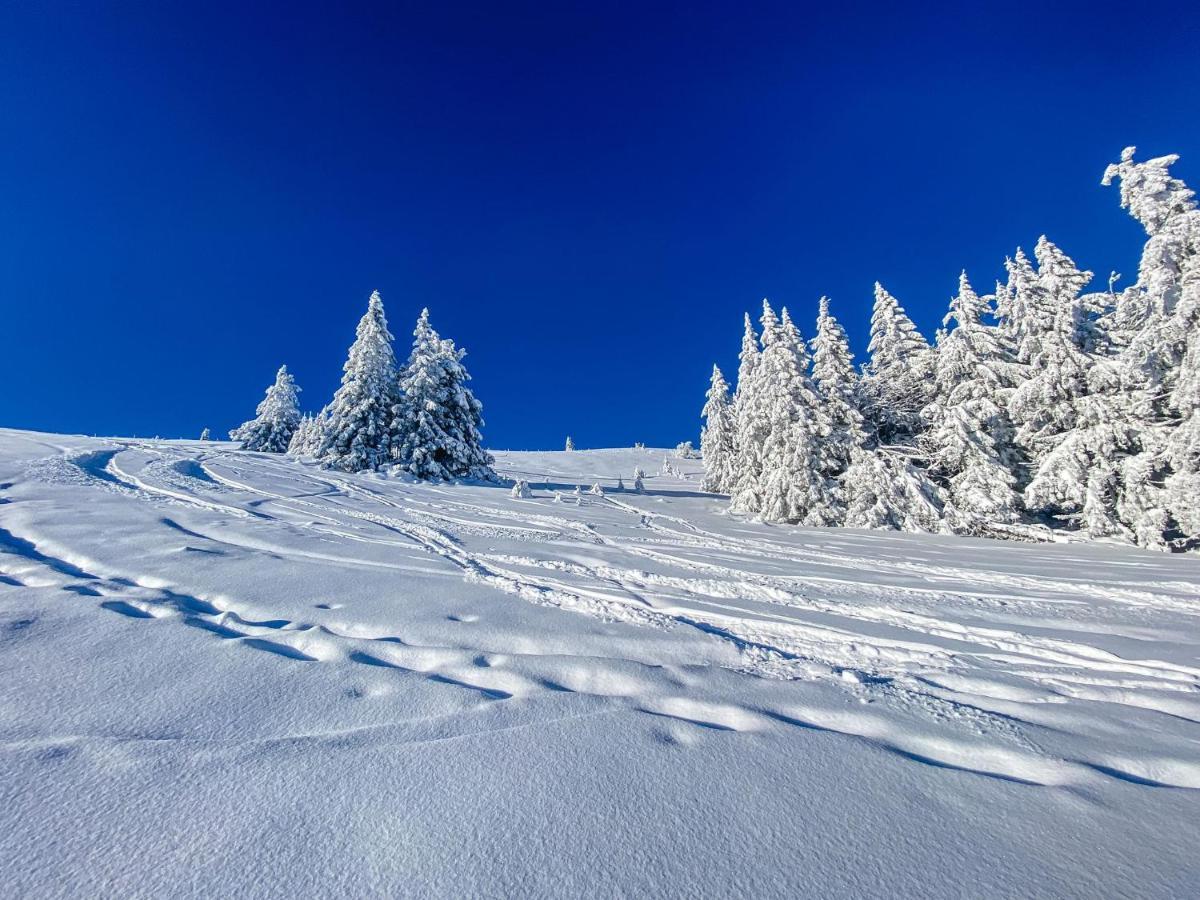 Ferienwohnungen Am Skilift Herrischried Dış mekan fotoğraf