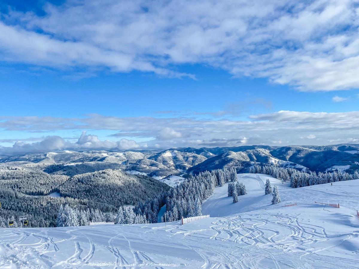 Ferienwohnungen Am Skilift Herrischried Dış mekan fotoğraf