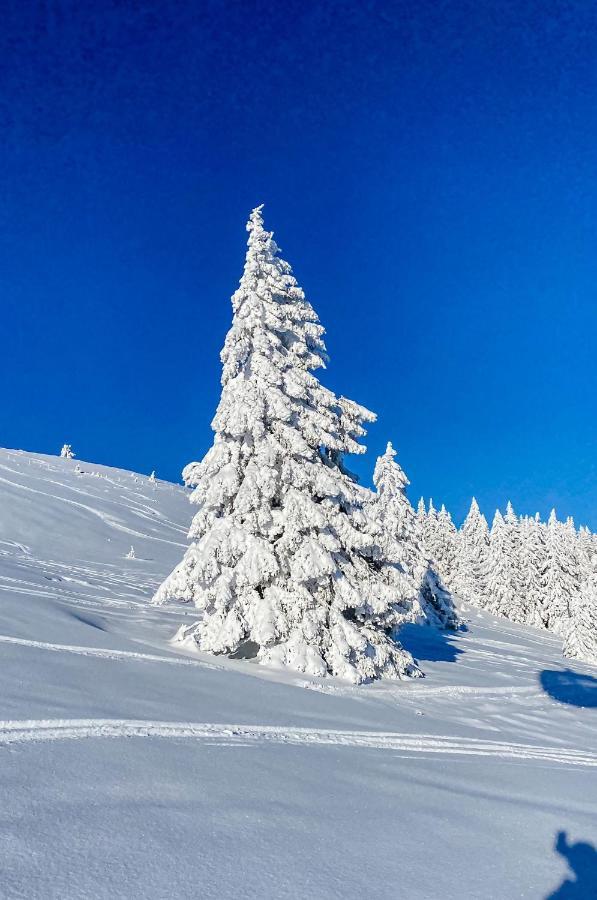 Ferienwohnungen Am Skilift Herrischried Dış mekan fotoğraf