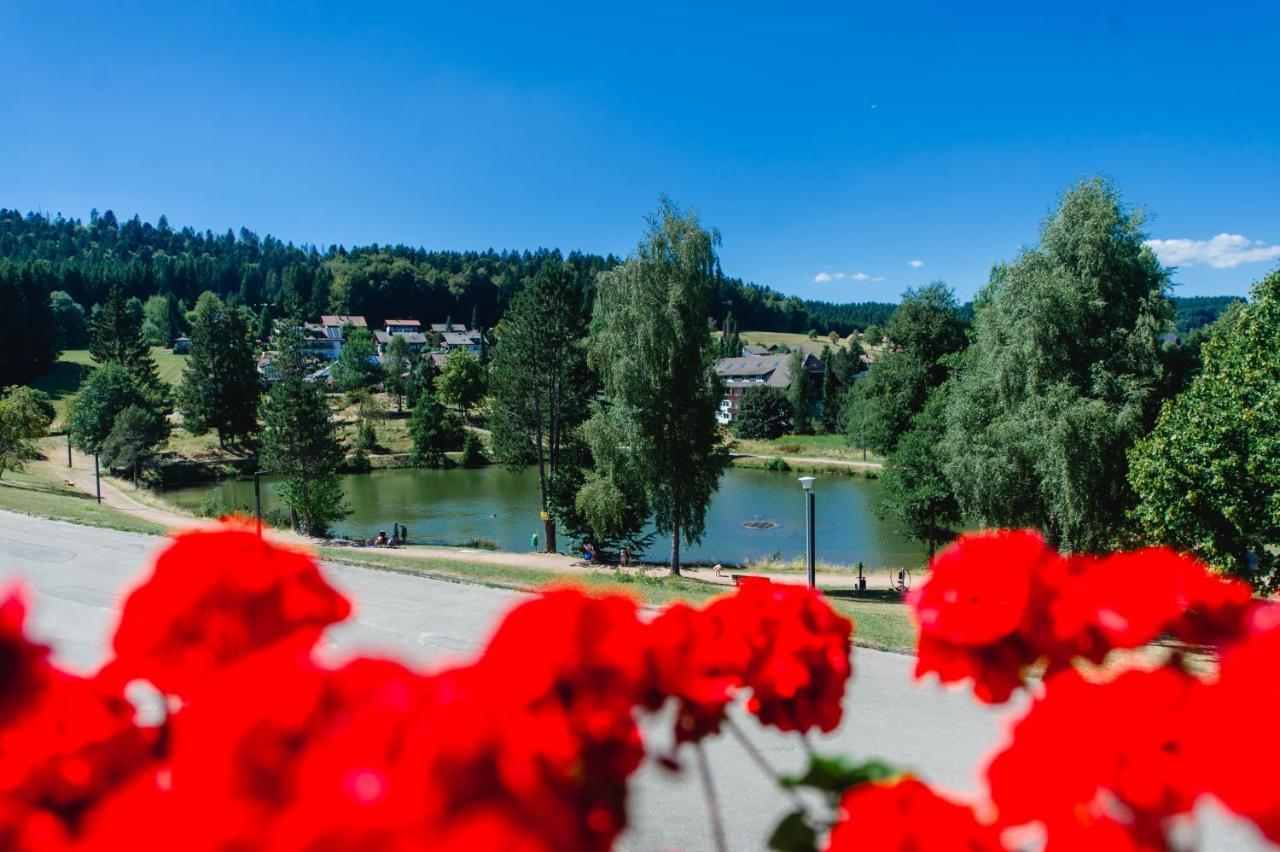 Ferienwohnungen Am Skilift Herrischried Dış mekan fotoğraf