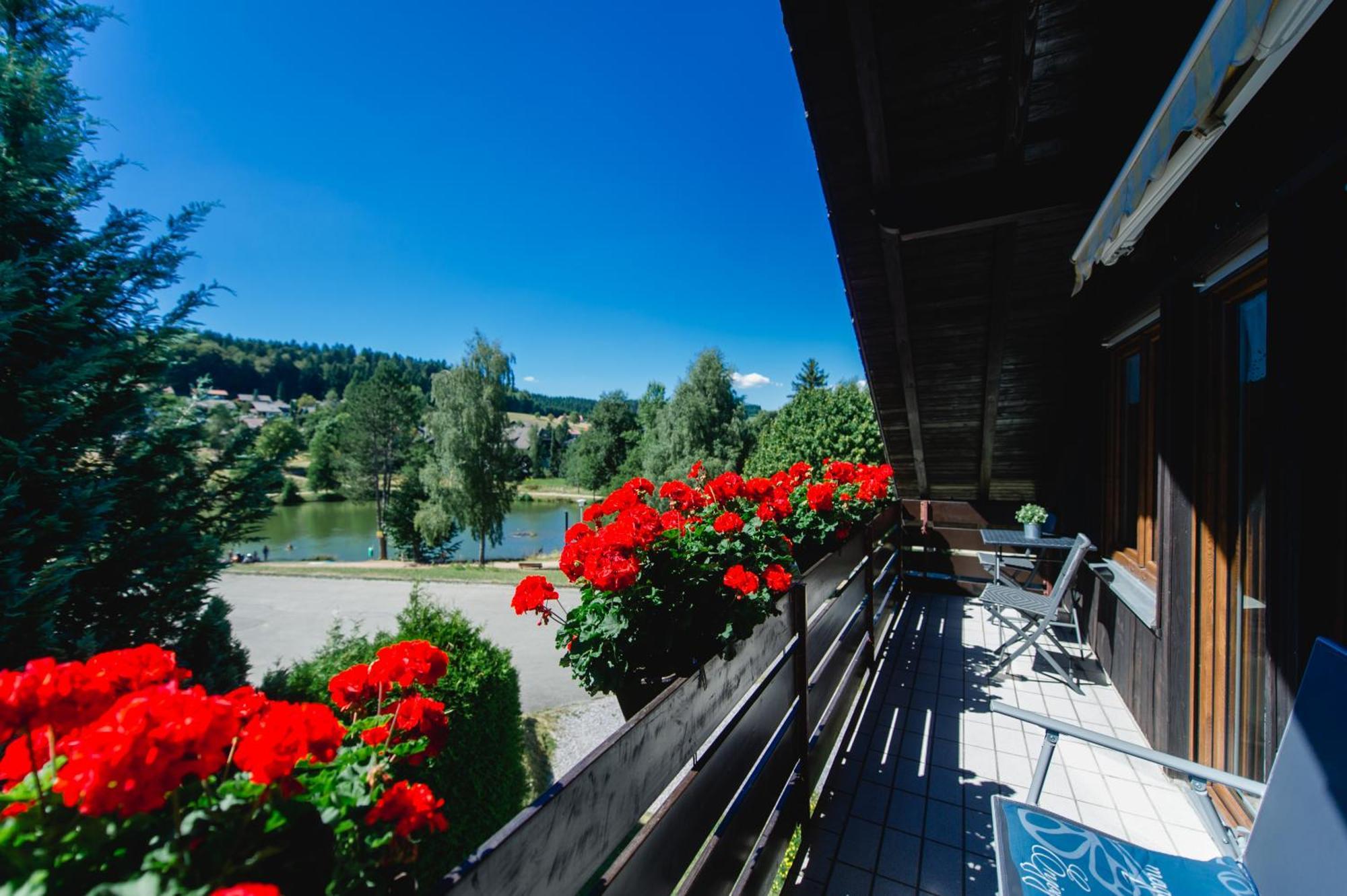 Ferienwohnungen Am Skilift Herrischried Dış mekan fotoğraf