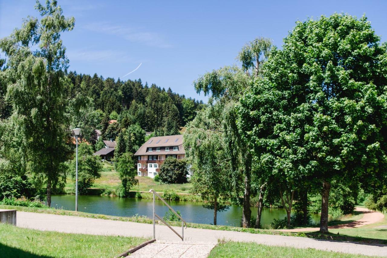 Ferienwohnungen Am Skilift Herrischried Dış mekan fotoğraf