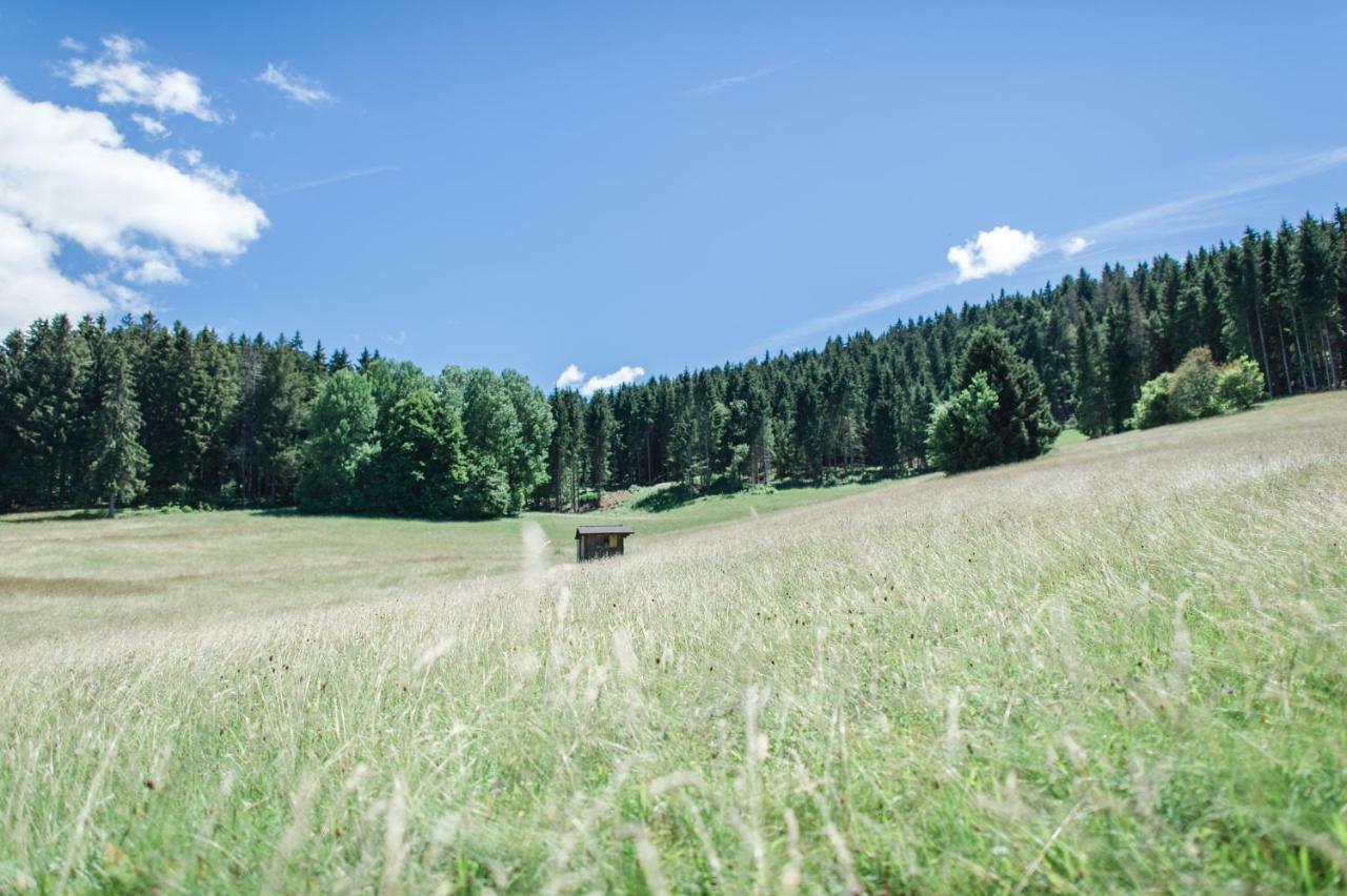 Ferienwohnungen Am Skilift Herrischried Dış mekan fotoğraf