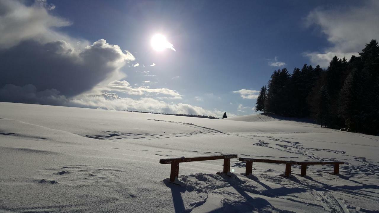 Ferienwohnungen Am Skilift Herrischried Dış mekan fotoğraf