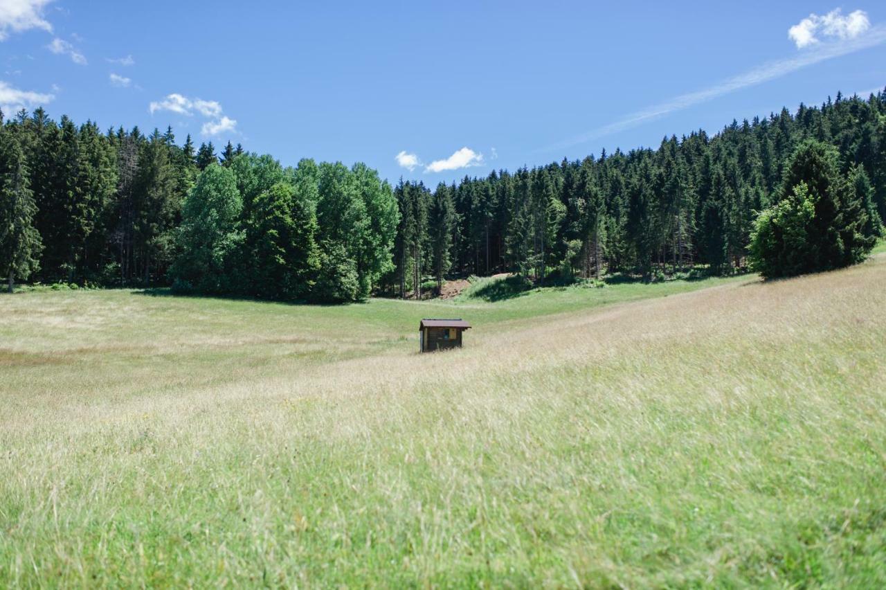 Ferienwohnungen Am Skilift Herrischried Dış mekan fotoğraf