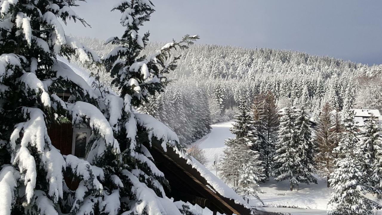 Ferienwohnungen Am Skilift Herrischried Dış mekan fotoğraf